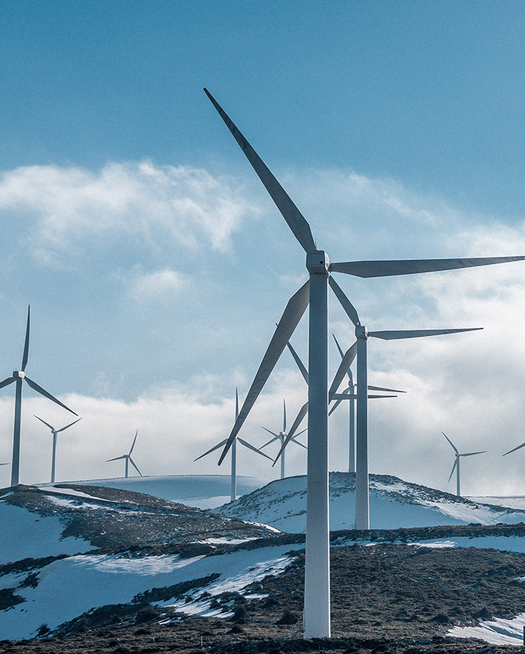 1xBet Deposit Not Credited – What to Do